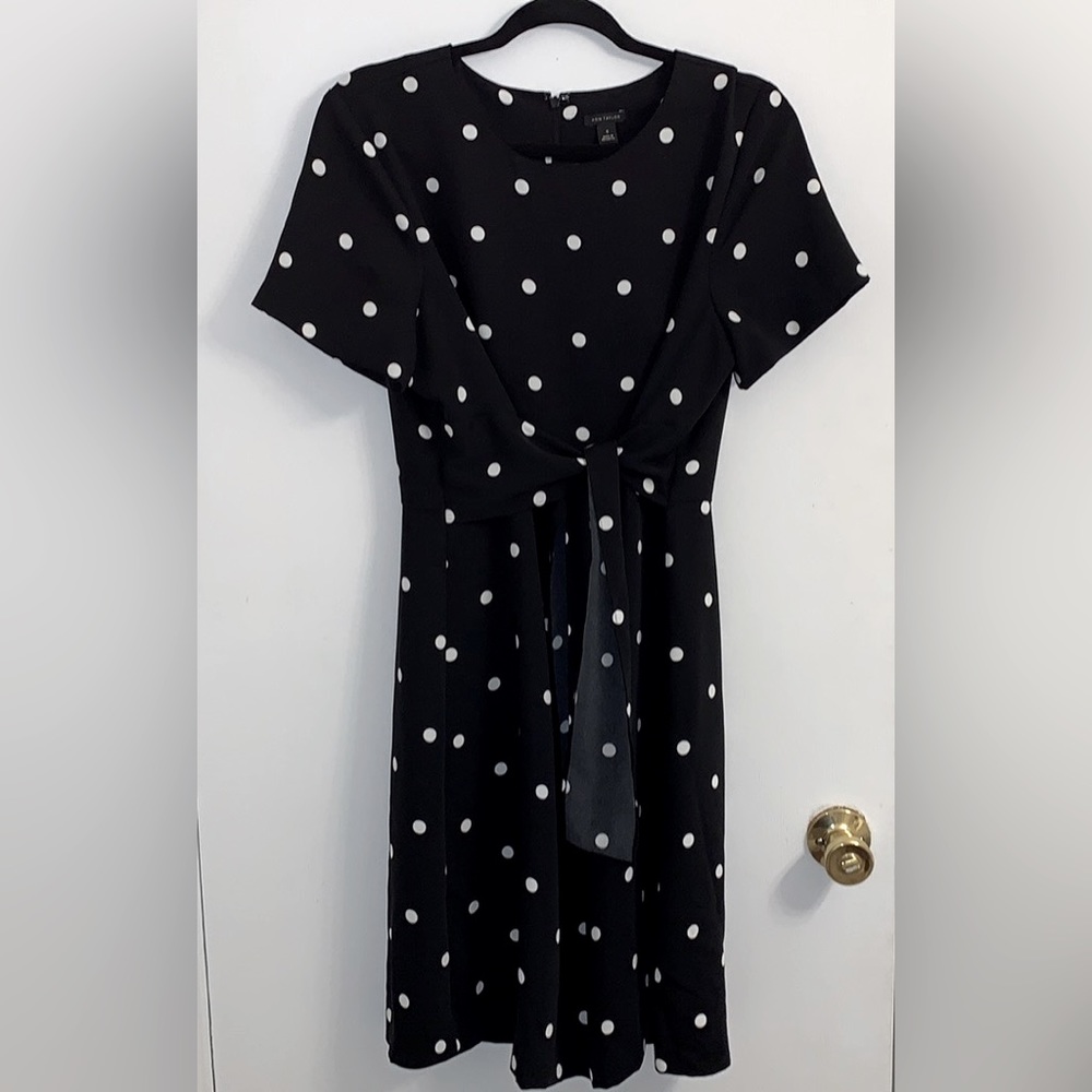 Ann Taylor Polka Dot Tie Wait Dress